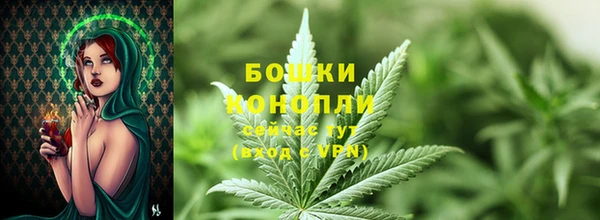 шишки Абдулино