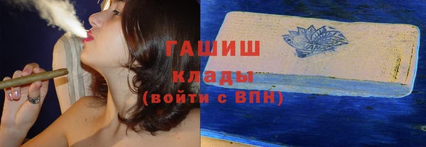 apvp Алзамай