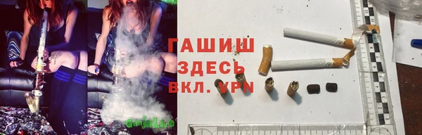 apvp Алзамай