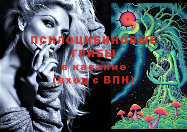 прущие грибы Алексин