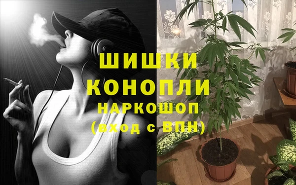 apvp Алзамай