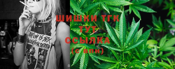 прущие грибы Алексин