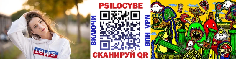 Галлюциногенные грибы Psilocybine cubensis  KRAKEN зеркало  Яровое 