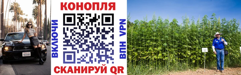 где купить наркотик  Яровое  площадка состав  Канабис AK-47 